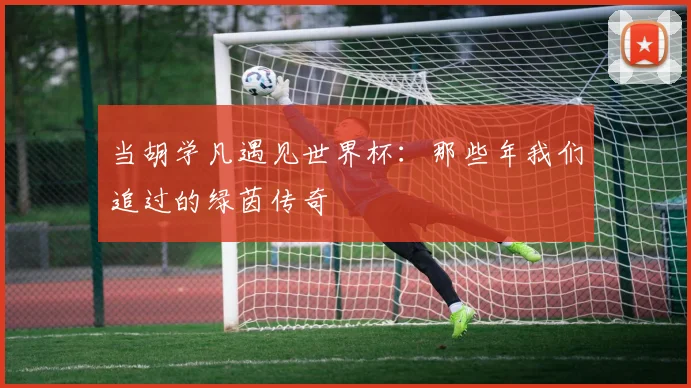 当胡学凡遇见世界杯：那些年我们追过的绿茵传奇