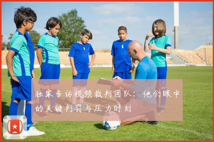 独家专访视频裁判团队：他们眼中的关键判罚与压力时刻