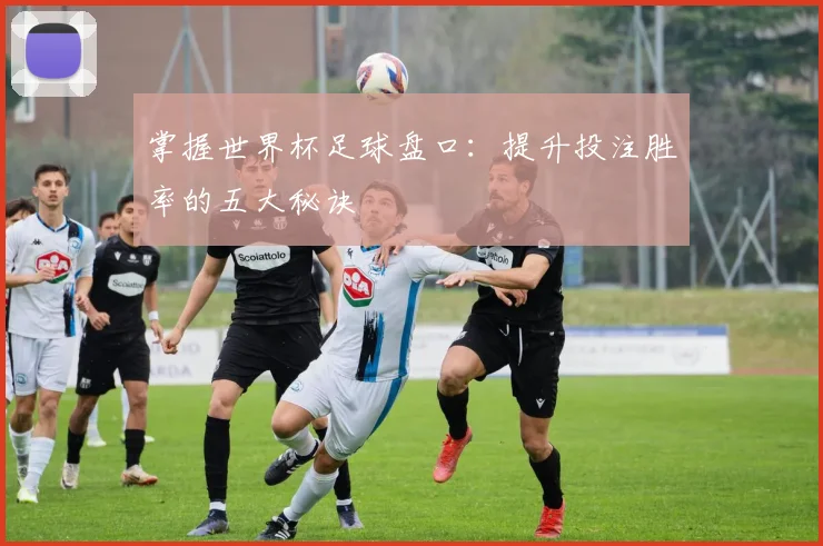 掌握世界杯足球盘口：提升投注胜率的五大秘诀