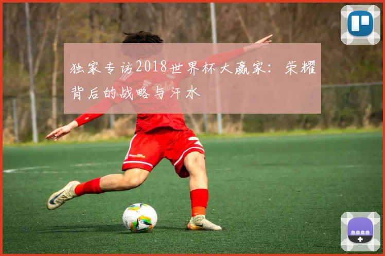 独家专访2018世界杯大赢家：荣耀背后的战略与汗水