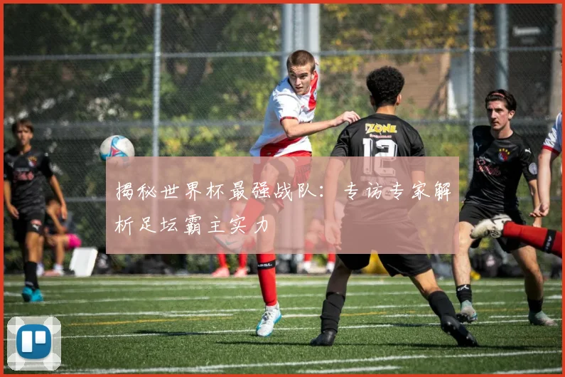 揭秘世界杯最强战队：专访专家解析足坛霸主实力