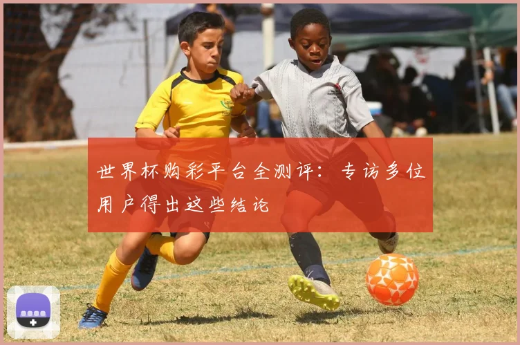 世界杯购彩平台全测评：专访多位用户得出这些结论